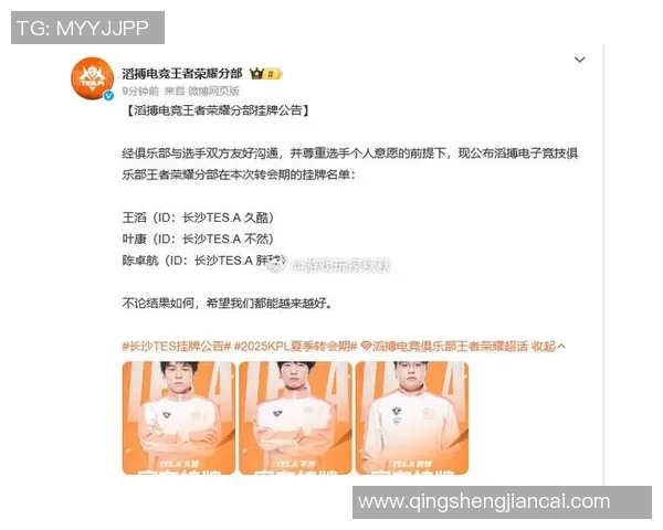 王者荣耀最新速度排行榜揭晓TES战队荣登第五名引发热议