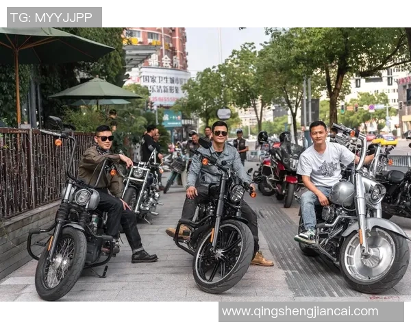 足球哈雷：探索这项运动背后的激情与梦想，揭示球场上的传奇故事与未来发展