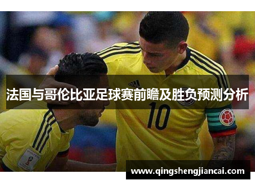 法国与哥伦比亚足球赛前瞻及胜负预测分析