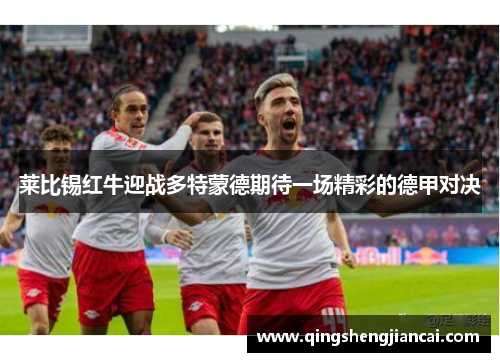 莱比锡红牛迎战多特蒙德期待一场精彩的德甲对决